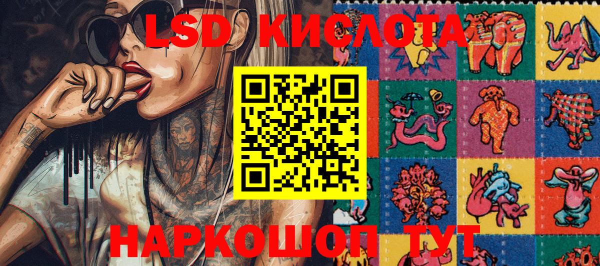 Псилоцибиновые грибы Нальчик