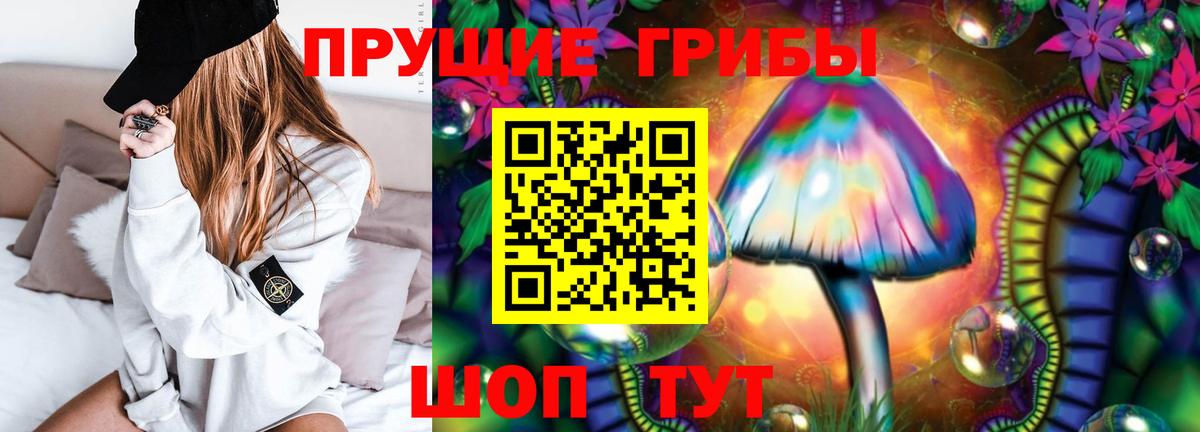 купить наркотики сайты  Галлюциногенные грибы мицелий  Галлюциногенные грибы Psilocybine cubensis  Вход с VPN  Нальчик 